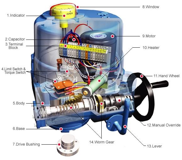 Automotivedaph GLOSSARY